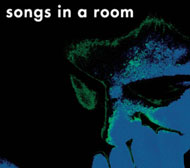 SONGS IN A ROOM, ο πρώτος προσωπικός δίσκος του Βασίλη Τζαβάρα